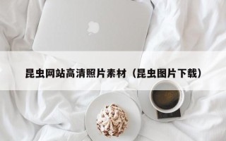 任丘昆虫网站高清照片素材（昆虫图片下载）